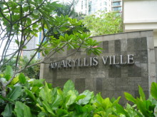 Amaryllis Ville (D11), Condominium #962812